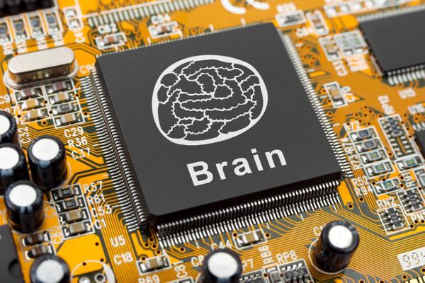 About Cognitive Neuromorphic Engineering
